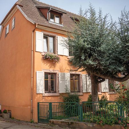 Gite La Grange Eguisheim Εξωτερικό φωτογραφία