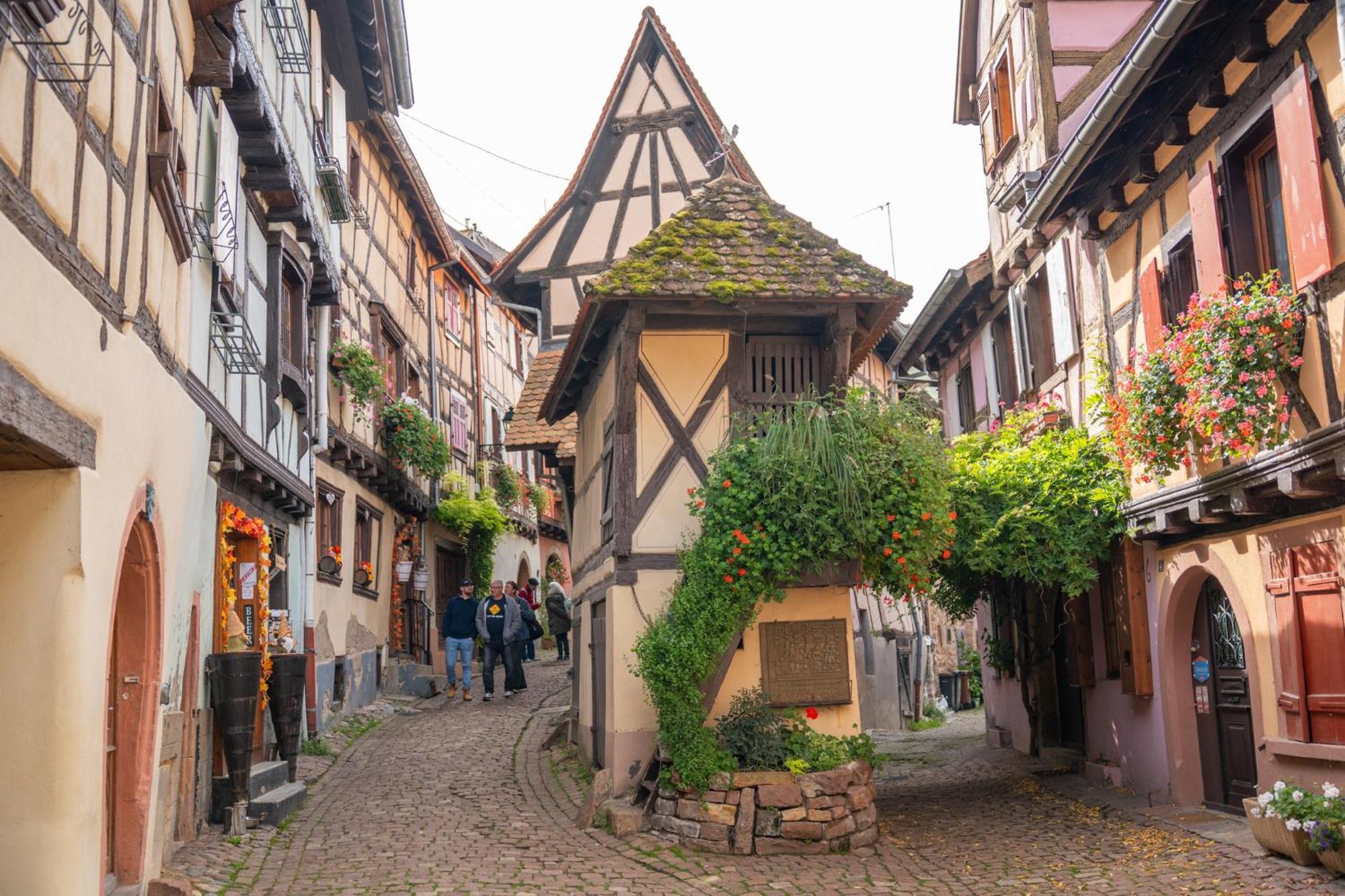 Gite La Grange Eguisheim Εξωτερικό φωτογραφία